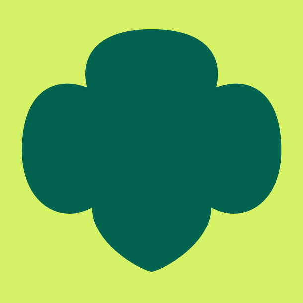 feature icon